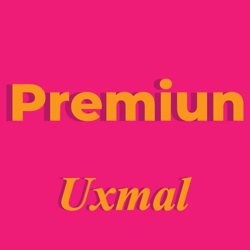 Paquete Premium